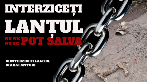 Peste 50 de organizații fac apel urgent la autorități. Scrisoare deschisă către Alexandru Bociu, Director ANSVSA, și Marcel Ciolacu, Prim-Ministru