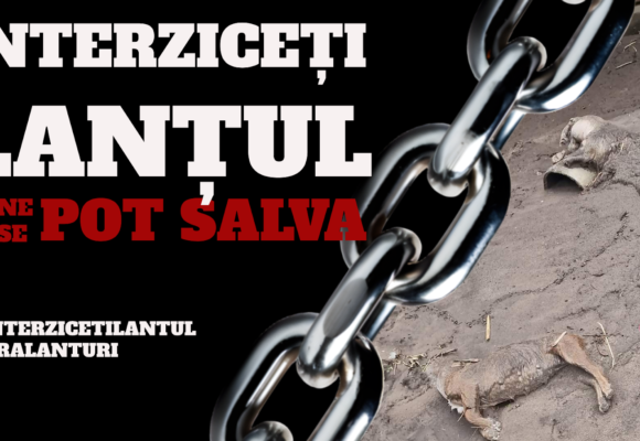 Peste 50 de organizații fac apel urgent la autorități. Scrisoare deschisă către Alexandru Bociu, Director ANSVSA, și Marcel Ciolacu, Prim-Ministru