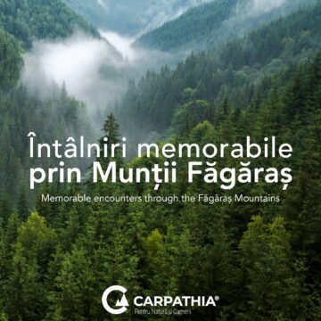 Fundația Conservation Carpathia a lansat albumul „Întâlniri memorabile prin Munții Făgăraș”