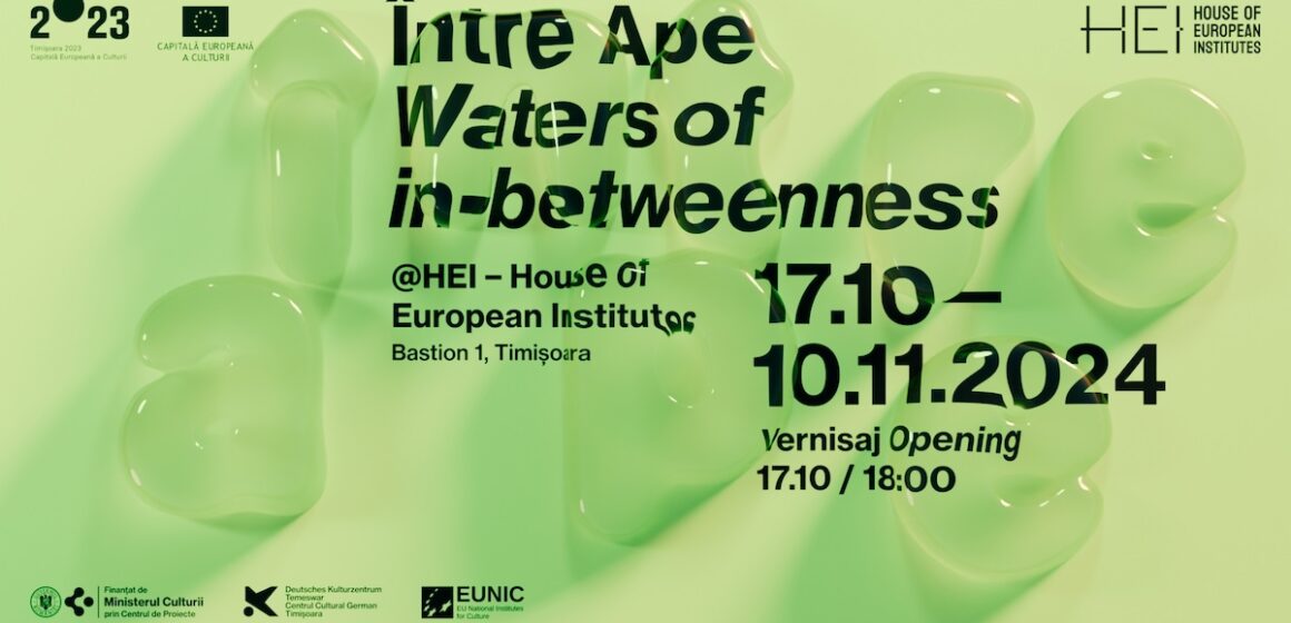 HEI – House of European Institutes lansează la Timișoara expoziția „Între Ape (Waters of in-Betweenness)”