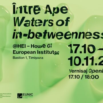 HEI – House of European Institutes lansează la Timișoara expoziția „Între Ape (Waters of in-Betweenness)”