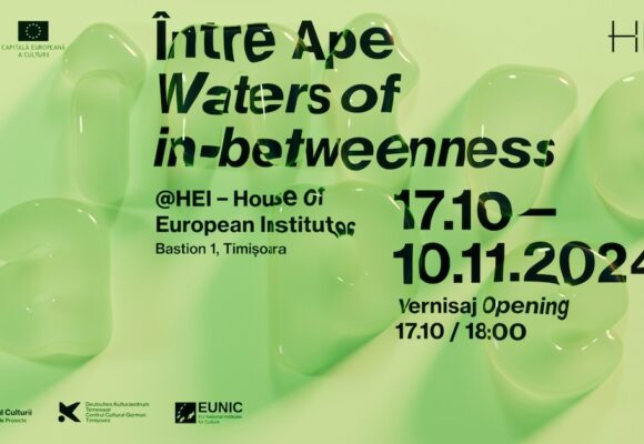 HEI – House of European Institutes lansează la Timișoara expoziția „Între Ape (Waters of in-Betweenness)”