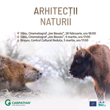 Documentarul „Arhitecții Naturii” – Proiecții speciale la Brașov și Sibiu