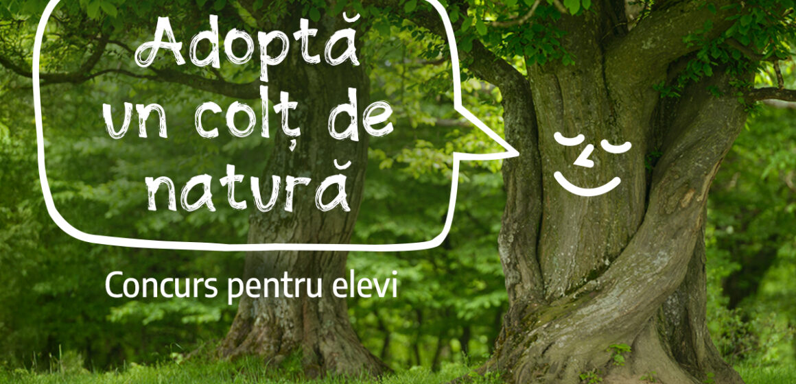 Concurs pentru copiii din zona Munților Făgăraș – „Adoptă un colț de natură”