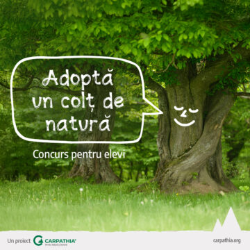 Concurs pentru copiii din zona Munților Făgăraș – „Adoptă un colț de natură”