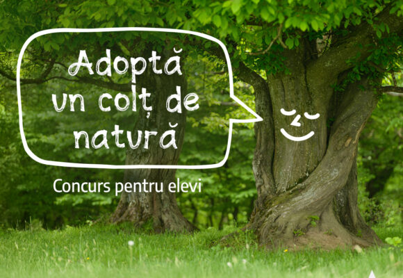 Concurs pentru copiii din zona Munților Făgăraș – „Adoptă un colț de natură”