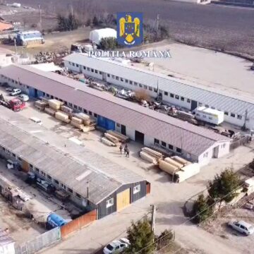 Peste 400 de metri cubi de material lemnos confiscați de polițiști într-o amplă acțiune desfășurată pentru combaterea ilegalităților în domeniul silvic