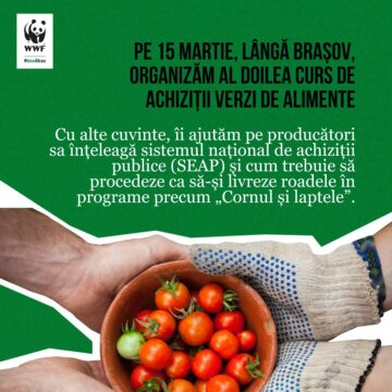 WWF-România invită producătorii și apicultorii din județele Brașov, Mureș și Sibiu să participe la cursul despre achiziții publice verzi de alimente