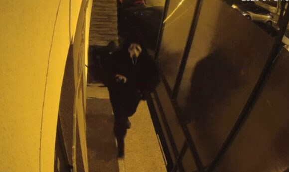 Bărbați arestați preventiv pentru comiterea infracțiunii de tâlhărie calificată