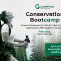 Fundația Conservation Carpathia lansează programul Conservation Bootcamp