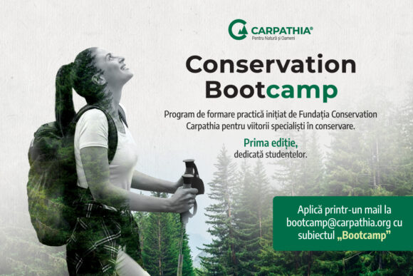 Fundația Conservation Carpathia lansează programul Conservation Bootcamp