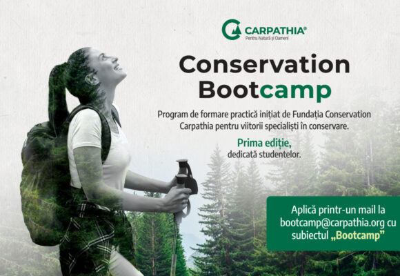 Fundația Conservation Carpathia lansează programul Conservation Bootcamp