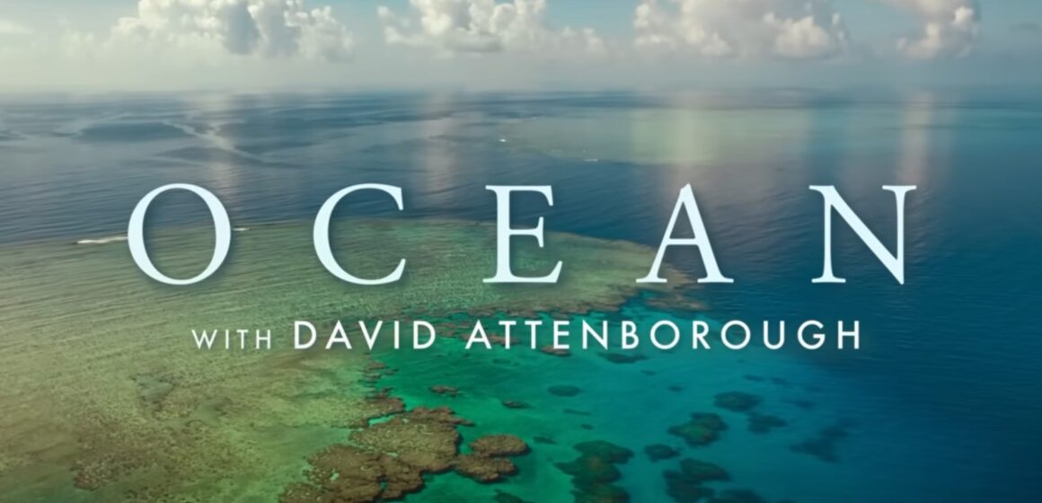 Ocean, narat de David Attenborough, proiecție în premieră la Brașov în cadrul LYNX Festival