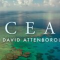 Ocean, narat de David Attenborough, proiecție în premieră la Brașov în cadrul LYNX Festival