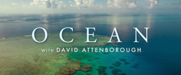 Ocean, narat de David Attenborough, proiecție în premieră la Brașov în cadrul LYNX Festival