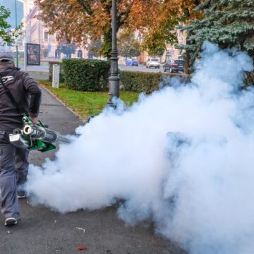 Miercuri, 21 mai, începe o nouă campanie de dezinsecție și de combatere a căpușelor pe domeniul public și privat al municipiului Brașov