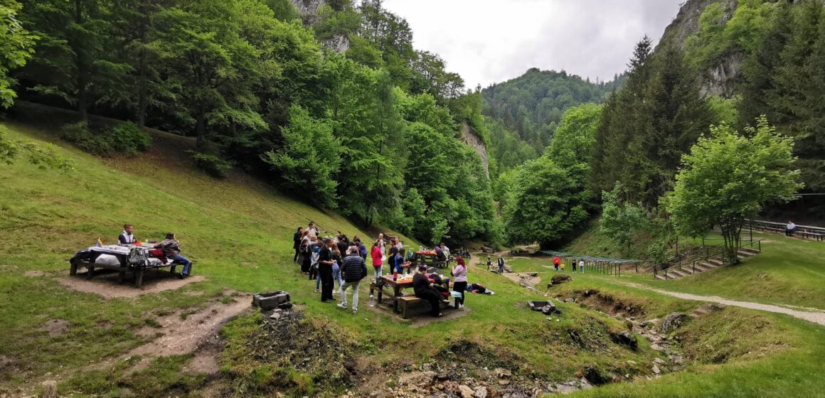 Picnic stories | Despre iubire, parteneriat civil, cărți, muzică, filme și hand crafts