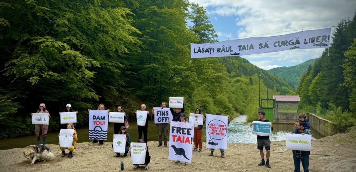 PROTEST pentru demolarea hidrocentralei ilegale de pe râul Taia