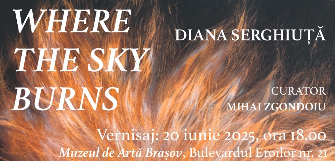 Diana Serghiuță revine la Brașov cu prima sa expoziție personală: Where the Sky Burns, la Muzeul de Artă Brașov Diana Serghiuță revine la Brașov cu prima sa expoziție personală: Where the Sky Burns, la Muzeul de Artă Brașov