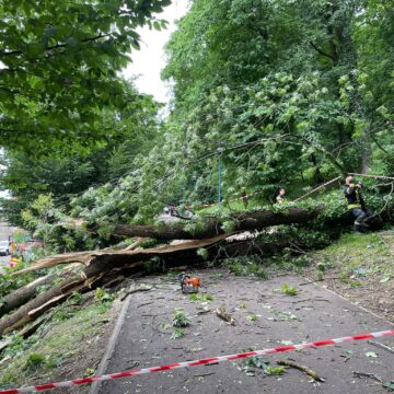 Grupul consilierilor locali USR-FDGR cere demiterea conducerii și a consiliului de administrație RPLP Kronstadt Grupul consilierilor locali USR-FDGR cere demiterea conducerii și a consiliului de administrație RPLP Kronstadt
