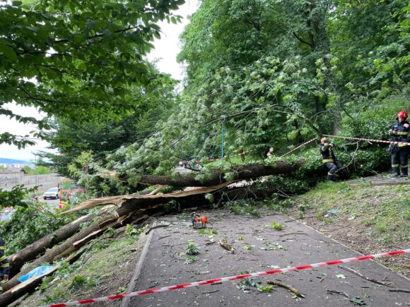 Grupul consilierilor locali USR-FDGR cere demiterea conducerii și a consiliului de administrație RPLP Kronstadt