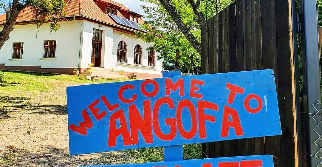 Colinele Transilvaniei a lansat proiectul „Educație cu vedere la natură”, un pas esențial pentru reconectarea oamenilor cu natura