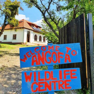 Colinele Transilvaniei a lansat proiectul „Educație cu vedere la natură”, un pas esențial pentru reconectarea oamenilor cu natura Colinele Transilvaniei a lansat proiectul „Educație cu vedere la natură”, un pas esențial pentru reconectarea oamenilor cu natura