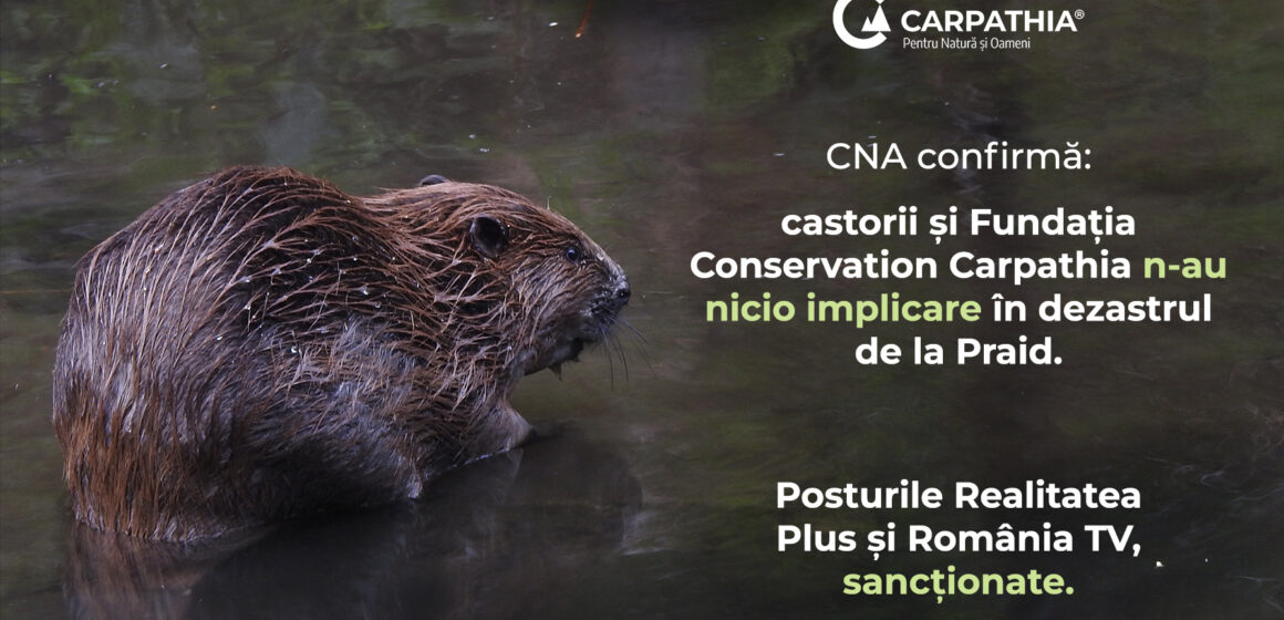 CNA a sancționat televiziunile care au promovat dezinformarea privind castorii și Salina Praid CNA a sancționat televiziunile care au promovat dezinformarea privind castorii și Salina Praid