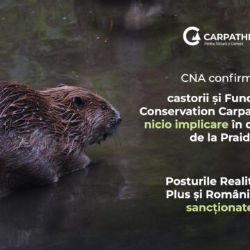 CNA a sancționat televiziunile care au promovat dezinformarea privind castorii și Salina Praid CNA a sancționat televiziunile care au promovat dezinformarea privind castorii și Salina Praid