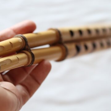 ISVOR anunță lansarea proiectului Muzeul Fluierelor Lumii ISVOR anunță lansarea proiectului Muzeul Fluierelor Lumii