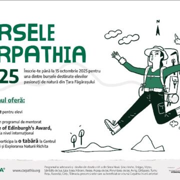 Noi oportunități pentru tinerii din Țara Făgărașului: ediția a IV-a a Programului de Burse Carpathia Noi oportunități pentru tinerii din Țara Făgărașului: ediția a IV-a a Programului de Burse Carpathia