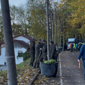 Castanii de pe Aleea de Sub Tâmpa au fost tăiați de RPLP Kronstadt cu acordul Primăriei Brașov Castanii de pe Aleea de Sub Tâmpa au fost tăiați de RPLP Kronstadt cu acordul Primăriei Brașov