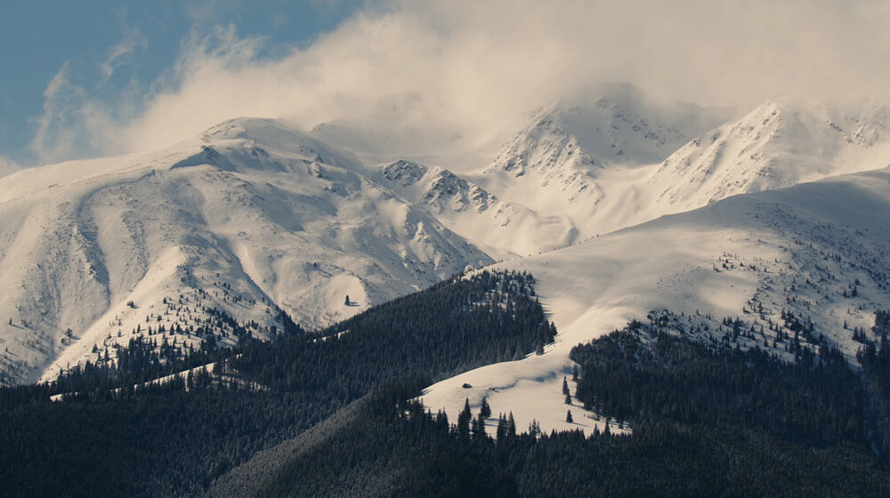 Documentarul „Arhitecții Naturii” a intrat în cinematografele din România Documentarul „Arhitecții Naturii” a intrat în cinematografele din România