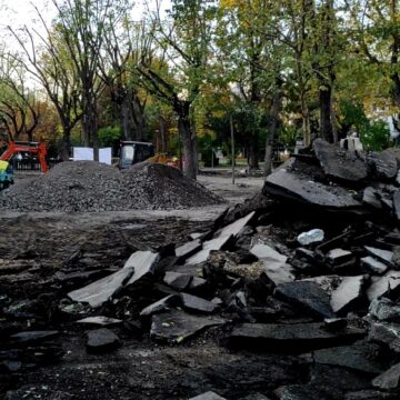 De ce cad arborii Brașovului? De mâna administrației