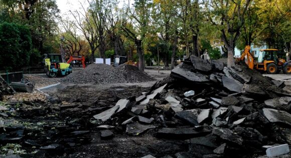 De ce cad arborii Brașovului? De mâna administrației