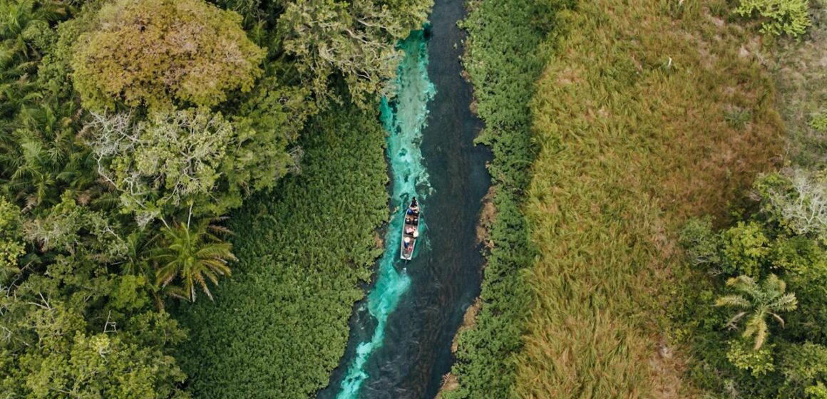 COP 30: Moment decisiv pentru acţiunea climatică globală… sau doar o nouă rundă de promisiuni? COP 30: Moment decisiv pentru acţiunea climatică globală… sau doar o nouă rundă de promisiuni?