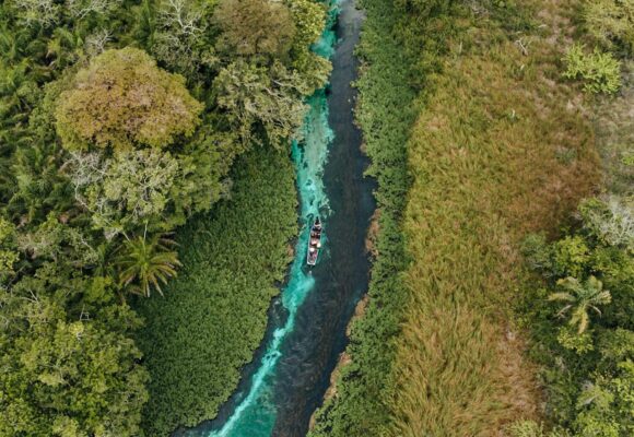 COP 30: Moment decisiv pentru acţiunea climatică globală… sau doar o nouă rundă de promisiuni?