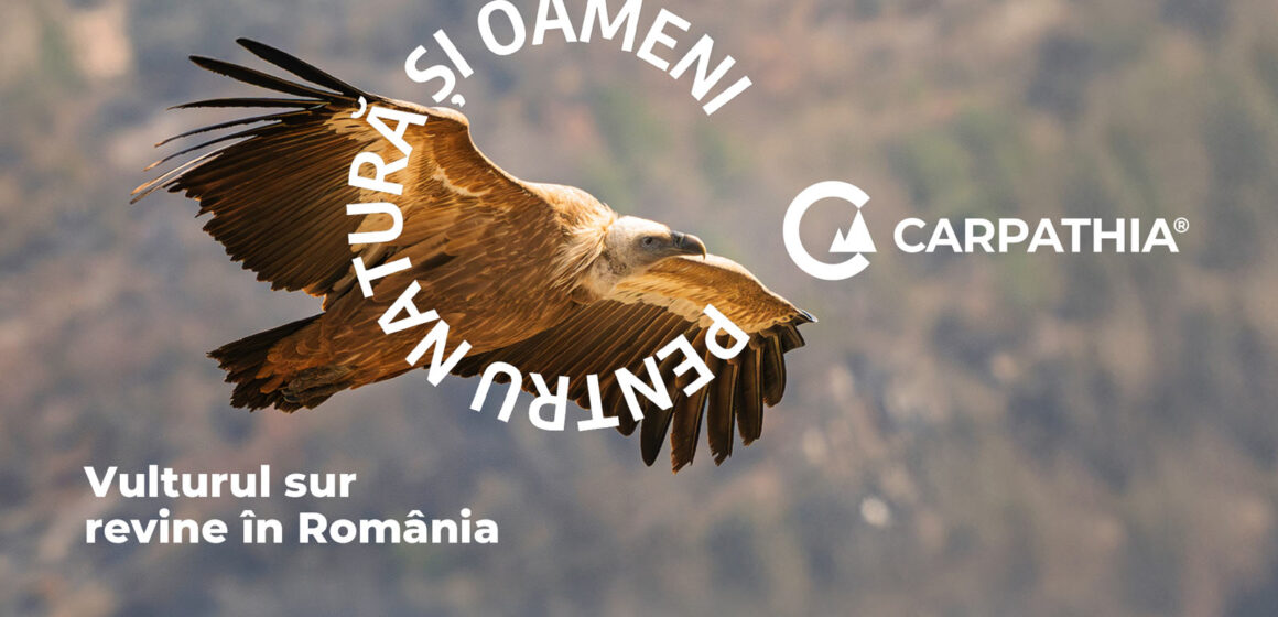 Vulturii se întorc în Munții Făgăraș: Fundația Conservation Carpathia, ING și comunitățile din Argeș pregătesc reintroducerea vulturului sur în România Vulturii se întorc în Munții Făgăraș: Fundația Conservation Carpathia, ING și comunitățile din Argeș pregătesc reintroducerea vulturului sur în România