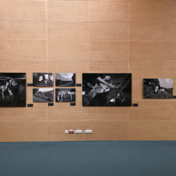 The Roots of Humanity – Păstrarea culturii prin esența umană la Biblioteca Națională a României The Roots of Humanity – Păstrarea culturii prin esența umană la Biblioteca Națională a României