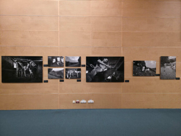 The Roots of Humanity – Păstrarea culturii prin esența umană la Biblioteca Națională a României