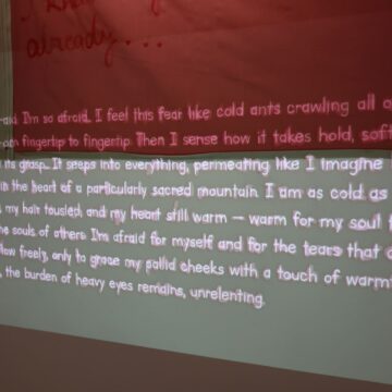 stories | Expoziția colectivă „Tower of Strength”, la Muzeul de Artă Brașov stories | Expoziția colectivă „Tower of Strength”, la Muzeul de Artă Brașov