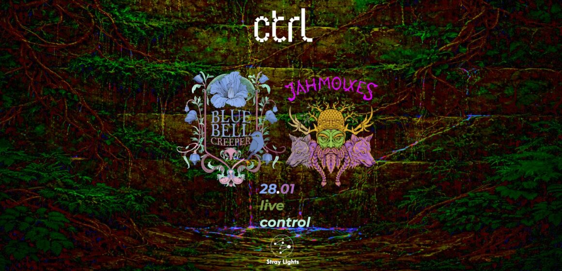 Stray Lights Sessions, seria de concerte dedicate scenei alternative românești, continuă: Bluebell Creeper și Jahmolxes pe 28 ianuarie, în Club Control