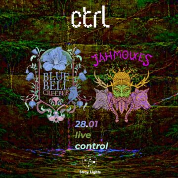 Stray Lights Sessions, seria de concerte dedicate scenei alternative românești, continuă: Bluebell Creeper și Jahmolxes pe 28 ianuarie, în Club Control