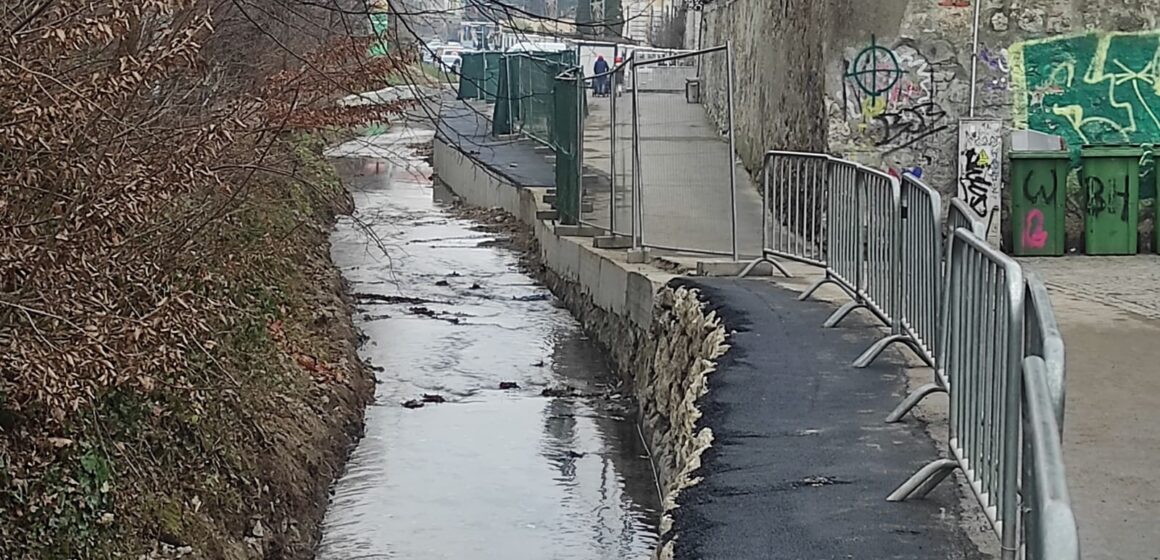 Pârâul Graft, exemplu de abuz instituțional