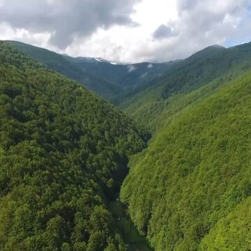 Mai multe organizații naționale și internaționale au sesizat Comisia Europeană cu privire la modificările propuse de Ministerul Mediului la regimul ariilor naturale protejate