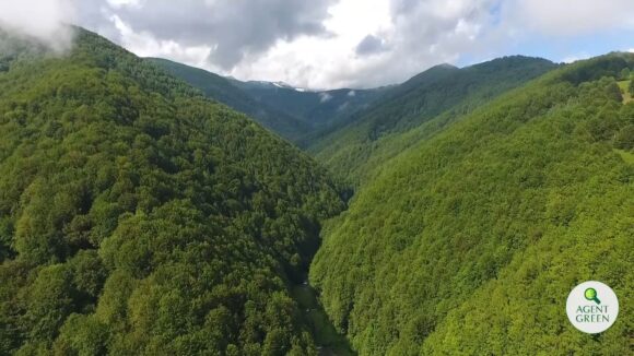 Mai multe organizații naționale și internaționale au sesizat Comisia Europeană cu privire la modificările propuse de Ministerul Mediului la regimul ariilor naturale protejate