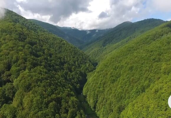 Mai multe organizații naționale și internaționale au sesizat Comisia Europeană cu privire la modificările propuse de Ministerul Mediului la regimul ariilor naturale protejate