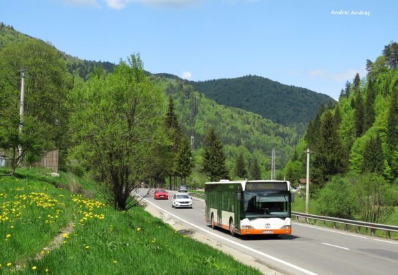 Feldioara și Predeal se alătură Municipiului Brașov în programul „Vinerea Verde”, începând cu luna aprilie