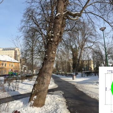 Comitetul Local pentru Situații de Urgență Brașov a aprobat extragerea a 32 de arbori din zona Aleii de Sub Tâmpa și din Parcul Gheorghe Dima (Șaguna)
