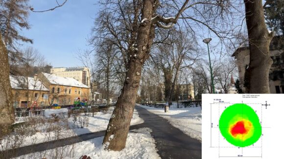 Comitetul Local pentru Situații de Urgență Brașov a aprobat extragerea a 32 de arbori din zona Aleii de Sub Tâmpa și din Parcul Gheorghe Dima (Șaguna)